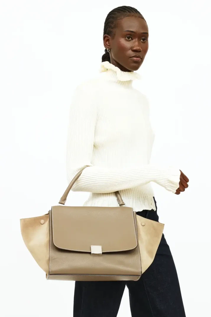 Celine Taupe leather and suede bag